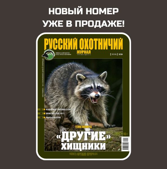Наш выбор