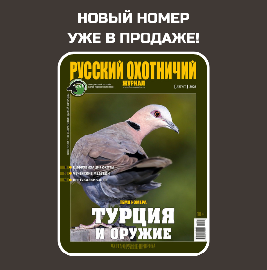 Наш выбор