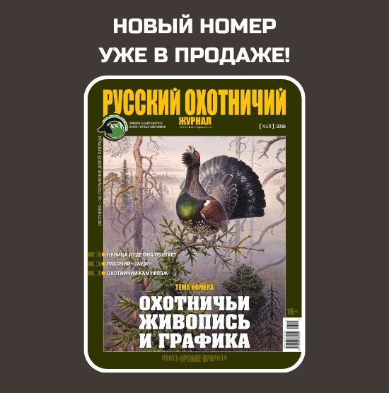 Наш выбор