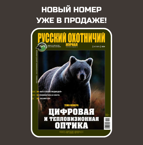 Наш выбор