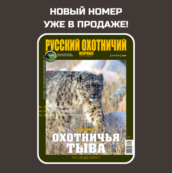 Наш выбор