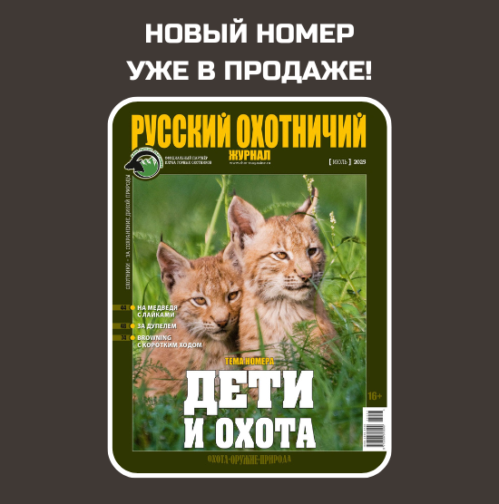 Наш выбор