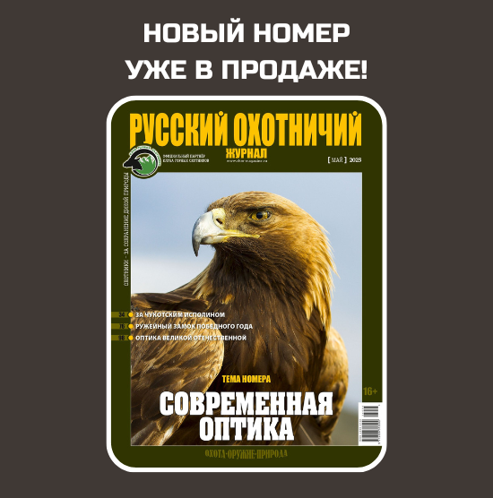 Наш выбор