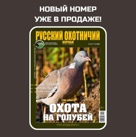 Наш выбор